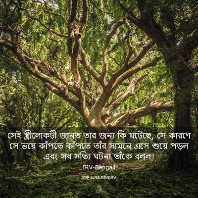Picture 03 - মার্ক 5:33 BENIRV - সেই স্ত্রীলোকটী - Bible Verse Picture