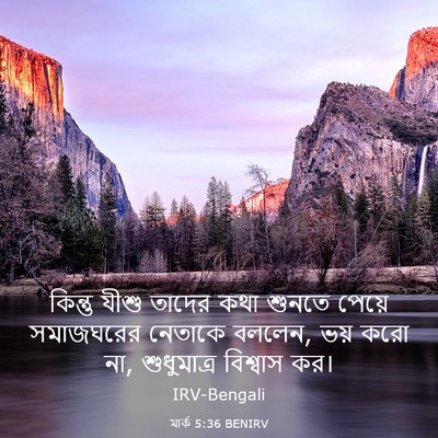 Picture 03 - মার্ক 5:36 BENIRV - কিন্তু যীশু তাদের - Bible Verse Picture