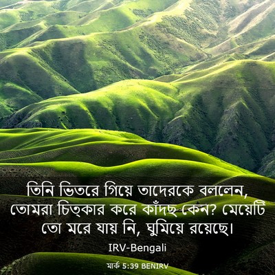 Picture 03 - মার্ক 5:39 BENIRV - তিনি ভিতরে গিয়ে - Bible Verse Picture
