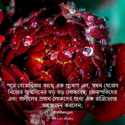 Picture 03 - মার্ক 6:21 BENIRV - পরে হেরোদিয়ার - Bible Verse Picture