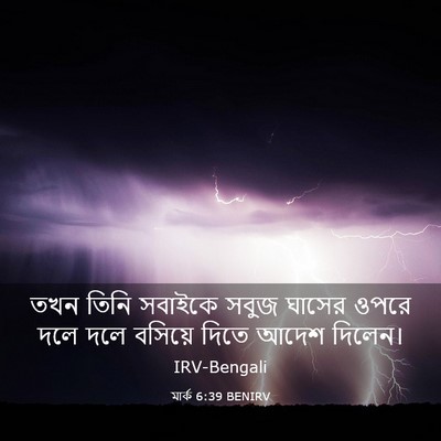 Picture 03 - মার্ক 6:39 BENIRV - তখন তিনি সবাইকে - Bible Verse Picture