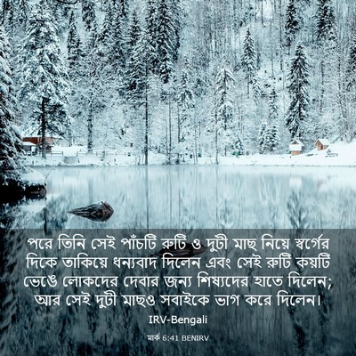 Picture 03 - মার্ক 6:41 BENIRV - পরে তিনি সেই - Bible Verse Picture