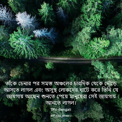 Picture 03 - মার্ক 6:55 BENIRV - তাঁকে চেনার পর - Bible Verse Picture