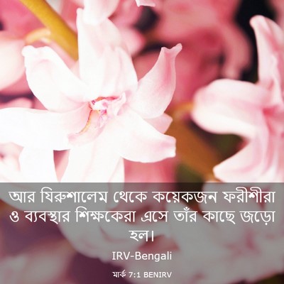 Picture 03 - মার্ক 7:1 BENIRV - আর যিরুশালেম থেকে - Bible Verse Picture