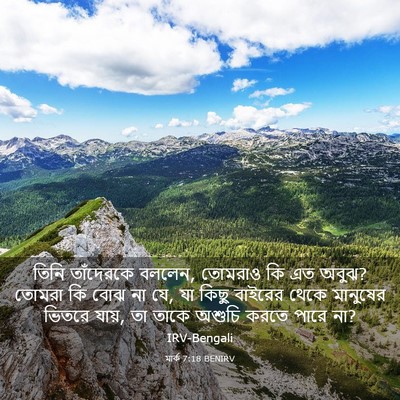 Picture 03 - মার্ক 7:18 BENIRV - তিনি তাঁদেরকে - Bible Verse Picture