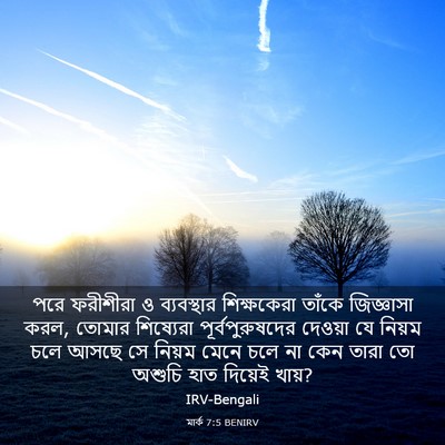 Picture 03 - মার্ক 7:5 BENIRV - পরে ফরীশীরা ও - Bible Verse Picture