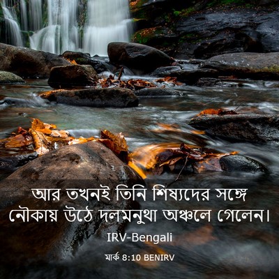 Picture 03 - মার্ক 8:10 BENIRV - আর তখনই তিনি - Bible Verse Picture