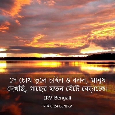 Picture 03 - মার্ক 8:24 BENIRV - সে চোখ তুলে চাইল ও - Bible Verse Picture