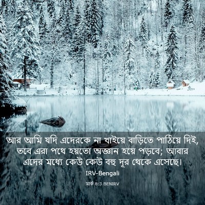 Picture 03 - মার্ক 8:3 BENIRV - আর আমি যদি এদেরকে - Bible Verse Picture