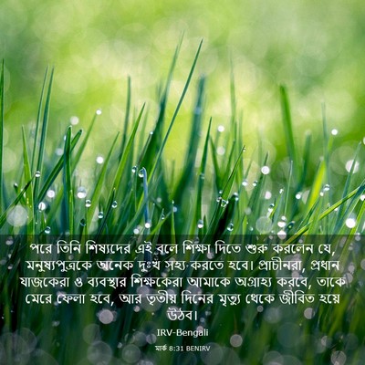 Picture 03 - মার্ক 8:31 BENIRV - পরে তিনি শিষ্যদের - Bible Verse Picture