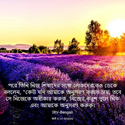 Picture 03 - মার্ক 8:34 BENIRV - পরে তিনি নিজ - Bible Verse Picture