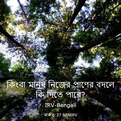 Picture 03 - মার্ক 8:37 BENIRV - কিংবা মানুষ নিজের - Bible Verse Picture