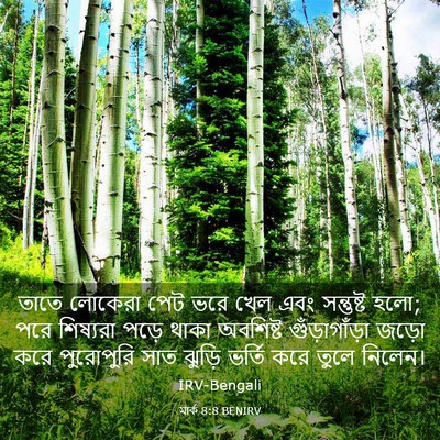 Picture 03 - মার্ক 8:8 BENIRV - তাতে লোকেরা পেট - Bible Verse Picture