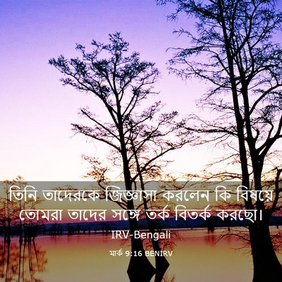 Picture 03 - মার্ক 9:16 BENIRV - তিনি তাদেরকে - Bible Verse Picture