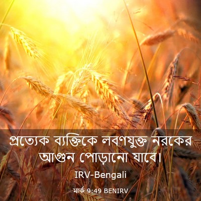 Picture 03 - মার্ক 9:49 BENIRV - প্রত্যেক - Bible Verse Picture