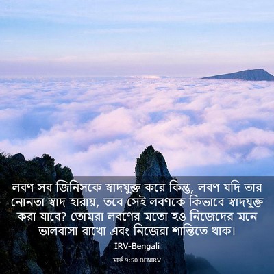 Picture 03 - মার্ক 9:50 BENIRV - লবণ সব জিনিসকে - Bible Verse Picture