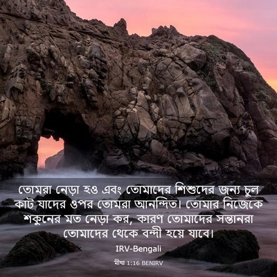 Picture 03 - মীখা 1:16 BENIRV - তোমরা নেড়া হও এবং - Bible Verse Picture