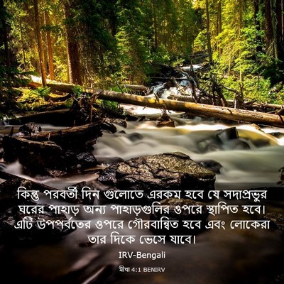 Picture 03 - মীখা 4:1 BENIRV - কিন্তু পরবর্তী - Bible Verse Picture