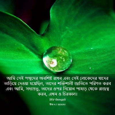 Picture 03 - মীখা 4:7 BENIRV - আমি সেই পঙ্গুদের - Bible Verse Picture