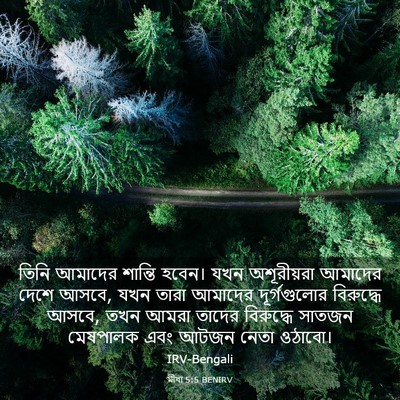 Picture 03 - মীখা 5:5 BENIRV - তিনি আমাদের - Bible Verse Picture