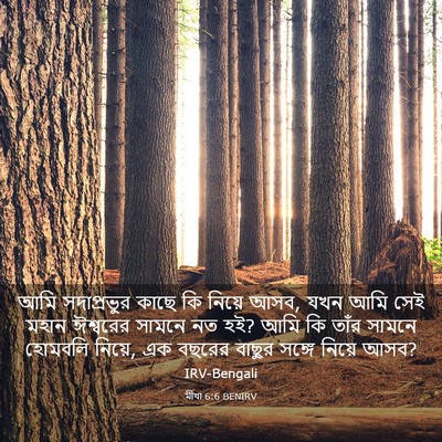 Picture 03 - মীখা 6:6 BENIRV - আমি সদাপ্রভুর - Bible Verse Picture