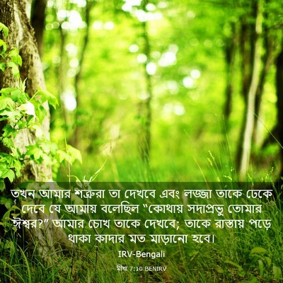 Picture 03 - মীখা 7:10 BENIRV - তখন আমার শত্রুরা - Bible Verse Picture