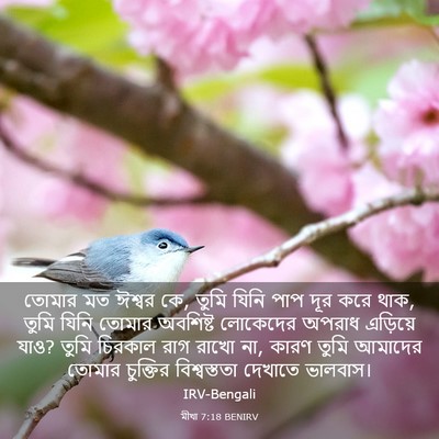 Picture 03 - মীখা 7:18 BENIRV - তোমার মত ঈশ্বর কে, - Bible Verse Picture