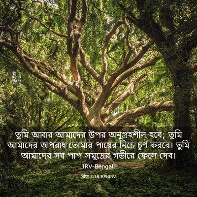 Picture 03 - মীখা 7:19 BENIRV - তুমি আবার আমাদের - Bible Verse Picture