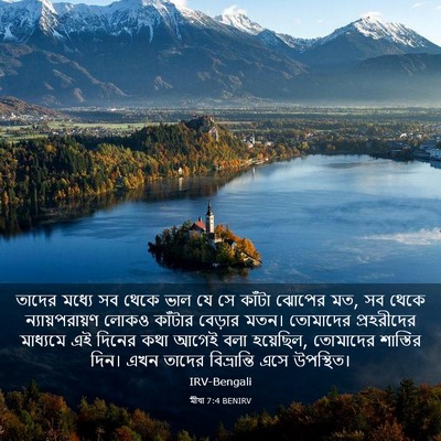 Picture 03 - মীখা 7:4 BENIRV - তাদের মধ্যে সব - Bible Verse Picture