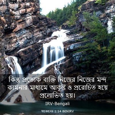 Picture 03 - যাকোবের 1:14 BENIRV - কিন্তু প্রত্যেক - Bible Verse Picture