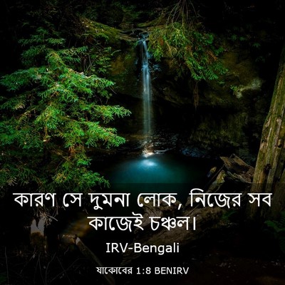 Picture 03 - যাকোবের 1:8 BENIRV - কারণ সে দুমনা লোক, - Bible Verse Picture