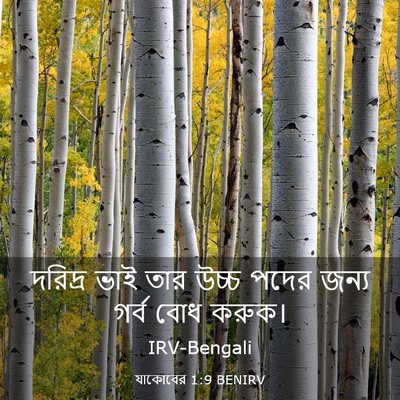 Picture 03 - যাকোবের 1:9 BENIRV - দরিদ্র ভাই তার - Bible Verse Picture