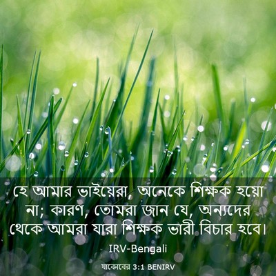 Picture 03 - যাকোবের 3:1 BENIRV - হে আমার ভাইয়েরা, - Bible Verse Picture