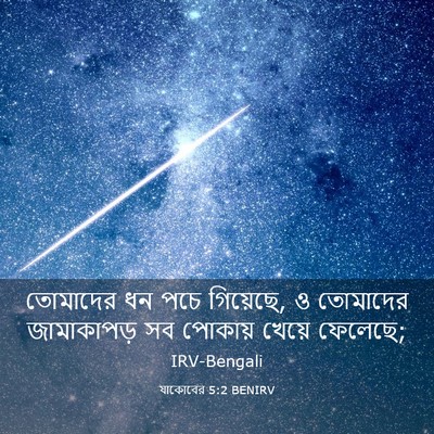 Picture 03 - যাকোবের 5:2 BENIRV - তোমাদের ধন পচে - Bible Verse Picture