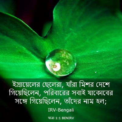 Picture 03 - যাত্ৰা 1:1 BENIRV - ইস্রায়েলের - Bible Verse Picture