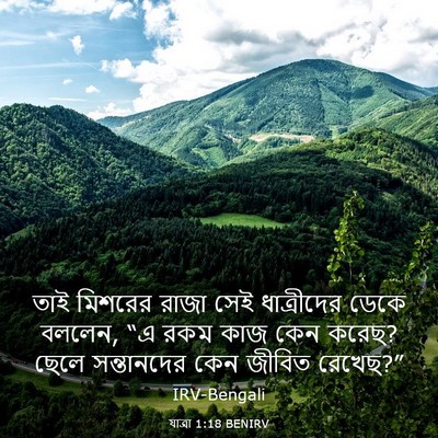 Picture 03 - যাত্ৰা 1:18 BENIRV - তাই মিশরের রাজা - Bible Verse Picture