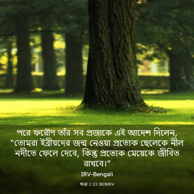 Picture 03 - যাত্ৰা 1:22 BENIRV - পরে ফরৌণ তাঁর সব - Bible Verse Picture