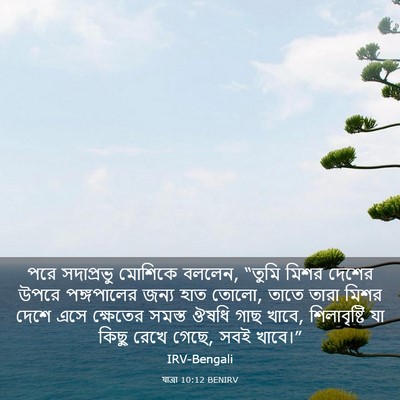 Picture 03 - যাত্ৰা 10:12 BENIRV - পরে সদাপ্রভু - Bible Verse Picture