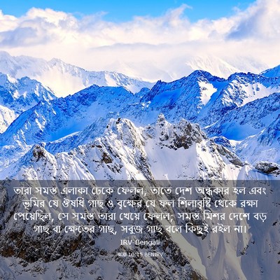 Picture 03 - যাত্ৰা 10:15 BENIRV - তারা সমস্ত এলাকা - Bible Verse Picture