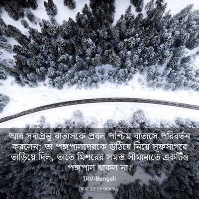 Picture 03 - যাত্ৰা 10:19 BENIRV - আর সদাপ্রভু - Bible Verse Picture