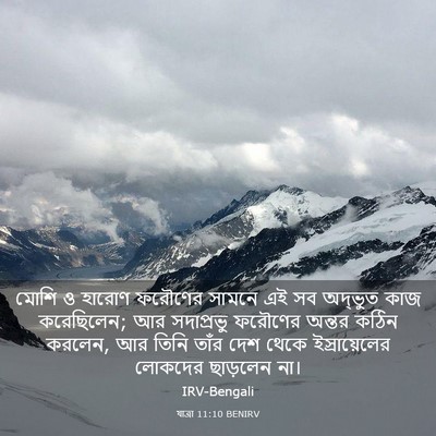 Picture 03 - যাত্ৰা 11:10 BENIRV - মোশি ও হারোণ - Bible Verse Picture