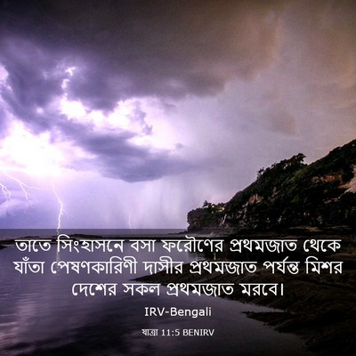 Picture 03 - যাত্ৰা 11:5 BENIRV - তাতে সিংহাসনে বসা - Bible Verse Picture
