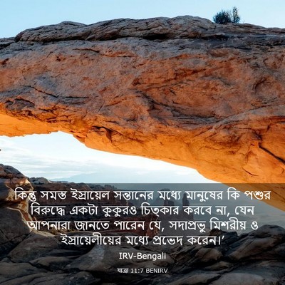 Picture 03 - যাত্ৰা 11:7 BENIRV - কিন্তু সমস্ত - Bible Verse Picture