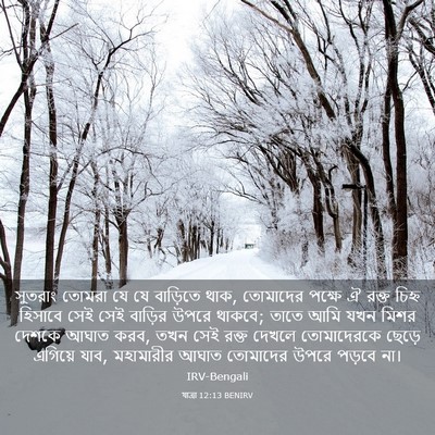 Picture 03 - যাত্ৰা 12:13 BENIRV - সুতরাং তোমরা যে যে - Bible Verse Picture