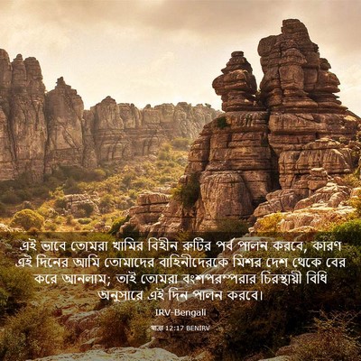 Picture 03 - যাত্ৰা 12:17 BENIRV - এই ভাবে তোমরা - Bible Verse Picture