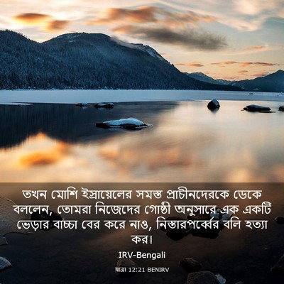 Picture 03 - যাত্ৰা 12:21 BENIRV - তখন মোশি - Bible Verse Picture