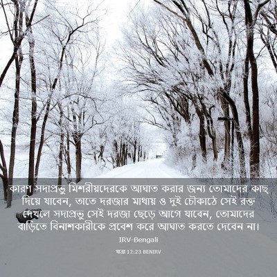 Picture 03 - যাত্ৰা 12:23 BENIRV - কারণ সদাপ্রভু - Bible Verse Picture