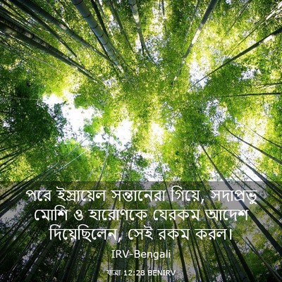 Picture 03 - যাত্ৰা 12:28 BENIRV - পরে ইস্রায়েল - Bible Verse Picture