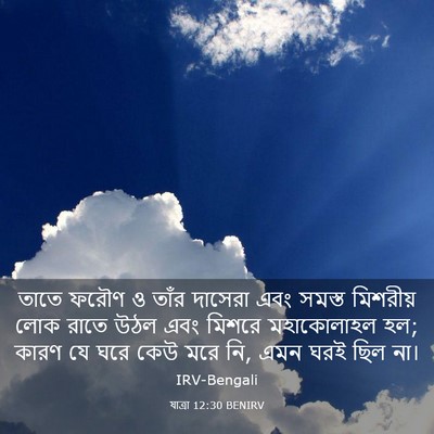 Picture 03 - যাত্ৰা 12:30 BENIRV - তাতে ফরৌণ ও তাঁর - Bible Verse Picture