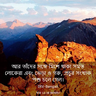 Picture 03 - যাত্ৰা 12:38 BENIRV - আর তাঁদের সঙ্গে - Bible Verse Picture